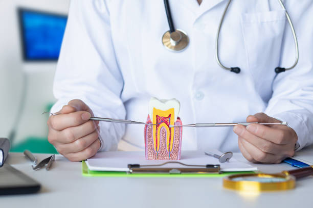 Best Mobile Emergency Dentist in Lakeview, MI